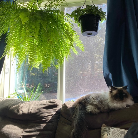 Meet your Posher, Meredith & maddie - Picture 1 of 1